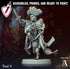 Tosi | Miniatures By Archvillain Games | For Tabletop Gaming, D&D, Pathfinder, And Painting | Assembled And Primed - Brush and Battle