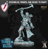 Heroes Vol. VI | Miniatures by Archvillain Games | Resin mini for tabletop gaming, D&D, Pathfinder, painting | Assembled and Primed - Brush and Battle