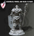 Trenon the Redeemed | Miniatures by DM Stash | Great for Tabletop Gaming, D&D, Pathfinder, and Painting | Assembled and Primed - Brush and Battle