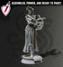Glanbeli Human | Miniatures by DM Stash | Great for Tabletop Gaming, D&D, Pathfinder, and Painting | Assembled and Primed - Brush and Battle