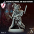 Tosi | Miniatures by Archvillain Games | Resin Mini for Tabletop Gaming, D&D, Pathfinder, and Painting | Assembled and Primed - Brush and Battle