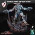 Armari Light Infantry | Miniatures by Archvillain Games | Resin Mini for Tabletop Gaming, D&D, Wargaming, Painting | Assembled and Primed