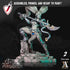 Sisters of the Black Moon | Archvillain Games | Miniature | RESIN | Tabletop | RPG | Gaming | D&D | Pathfinder | Fully Assembled and Primed