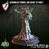 Tainted High Priest & Rot Seraphim | Miniatures by Crippled God Foundry | For Tabletop Gaming, RPGs, and Painting | Assembled and Primed