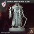 Mourneguard | Resin Miniatures by Archvillain Games | Resin Mini for Tabletop Gaming, D&D, Pathfinder, Painting | Assembled and Primed